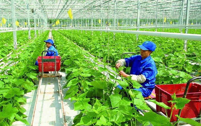 Vietnam - Australia Partner for Sustainable Agriculture and Workforce Development