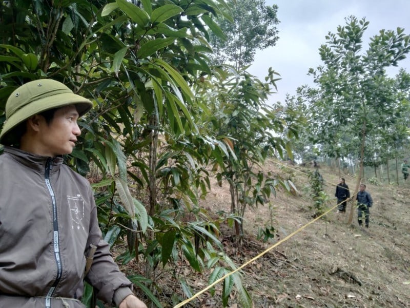 GEF Powers Sustainable Development in Western Nghe An