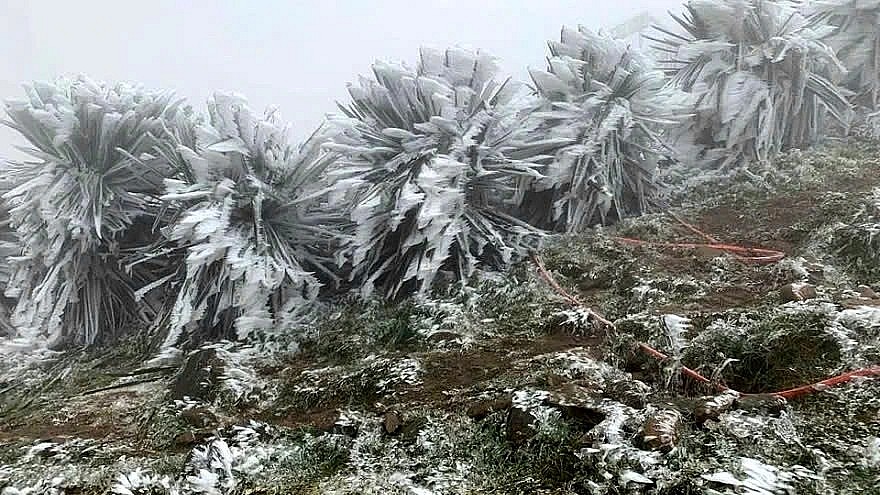 More strong cold spells are expected to hit the northern region of Vietnam in the coming two months, causing freezing conditions in mountainous localities.