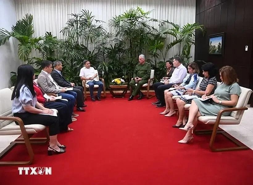 Cuban President Miguel Díaz-Canel (far right) receives representatives of Vietnamese businesses. (Photo: VNA)