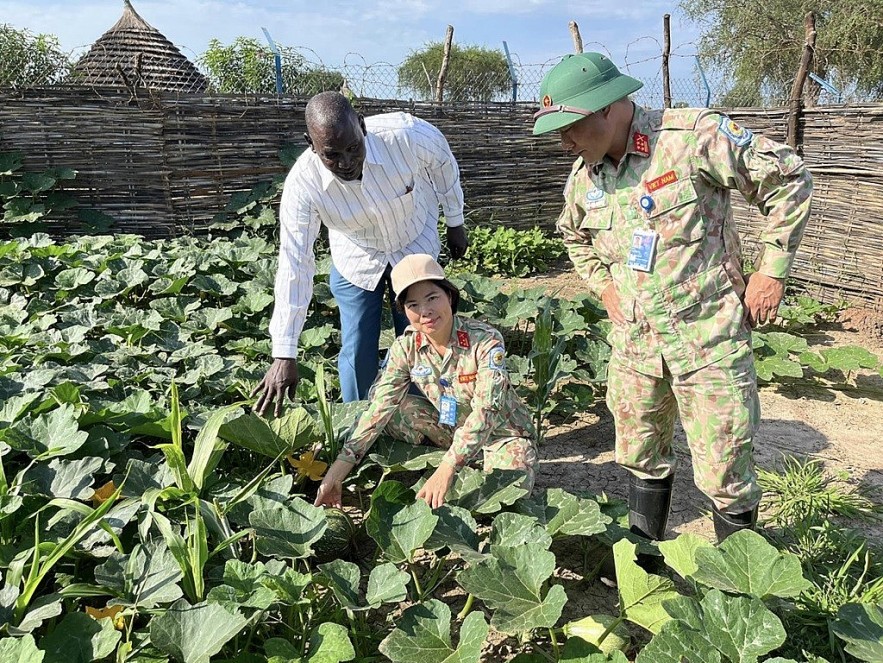 Vietnam and the UN: Journey of Contribution to Global Peace and Development