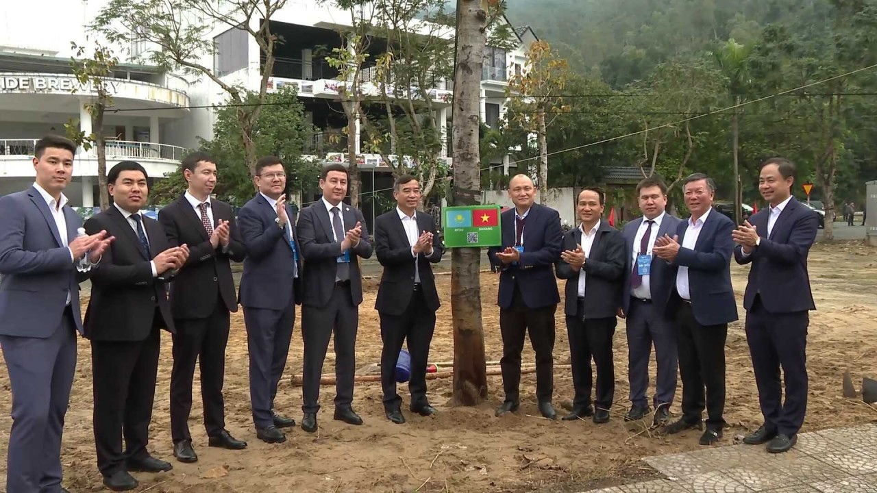 More Than 150 International Delegates Plant Friendship Trees In Da Nang