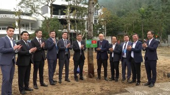 More Than 150 International Delegates Plant Friendship Trees In Da Nang