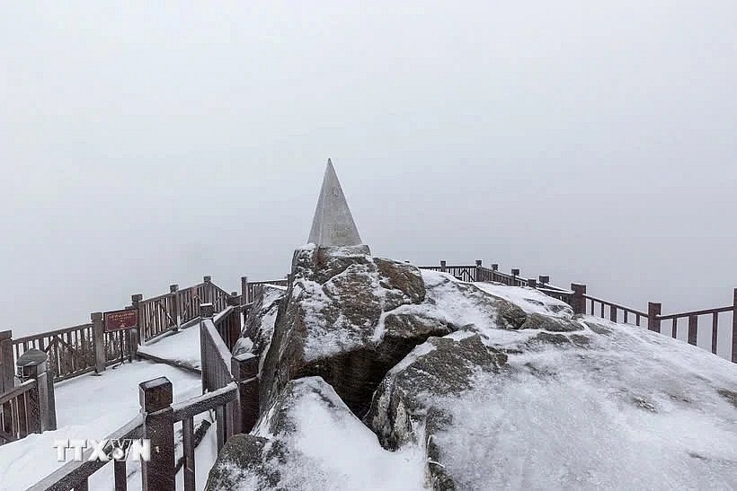 Snow blankets Fansipan Mt. peak on January 26, two days ahead of the Lunar New Year 2025.