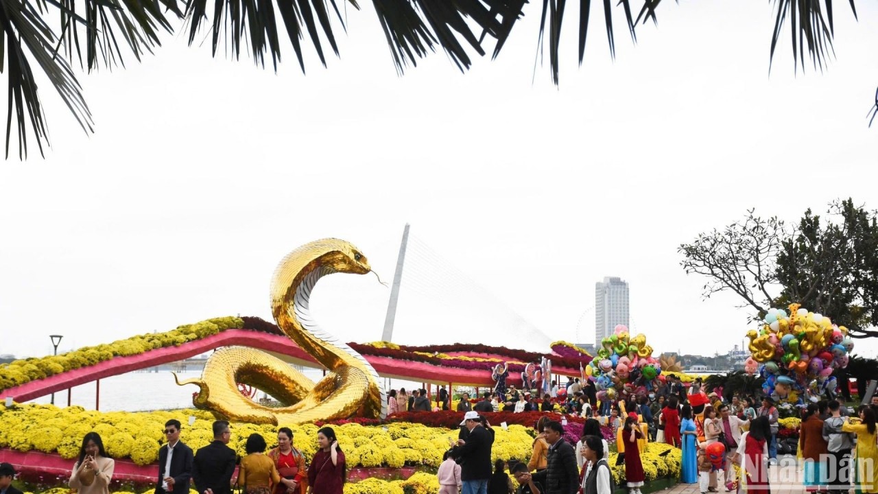 The Da Nang Flower Street, open for five months, continues to attract a large number of visitors eager to admire and take photos. Throughout the Lunar New Year holiday, the city has hosted various exciting events for entertainment and spring festivities. (Photo: Nhan Dan Newspaper)