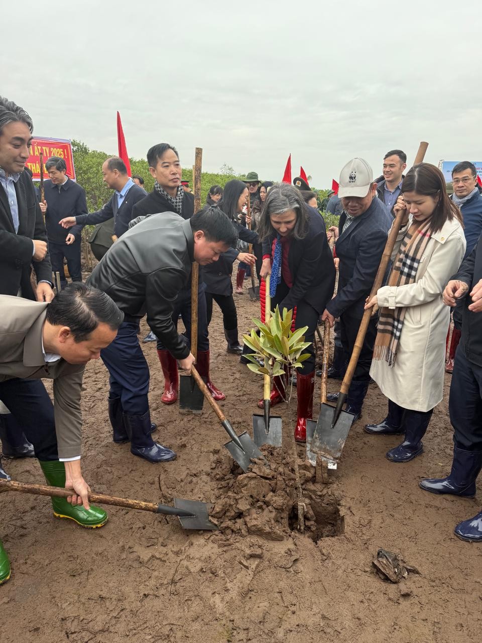 UNDP Resident Representative Joins Tree Planting Festival in Thai Binh