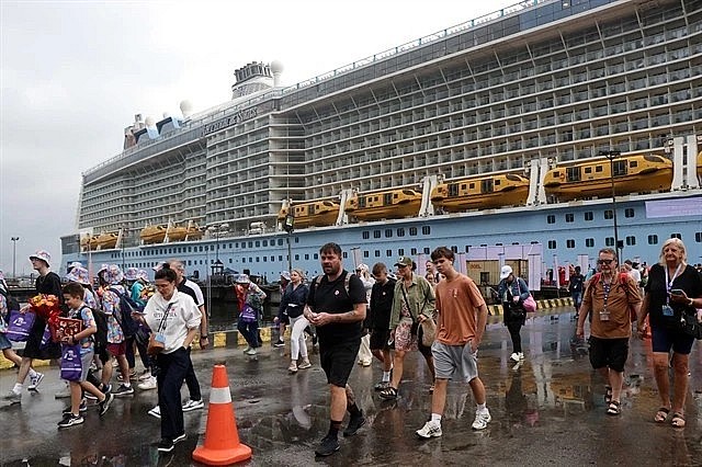 The number of international tourists arriving by cruise ships has surged in recent years. (Photo: VNA)