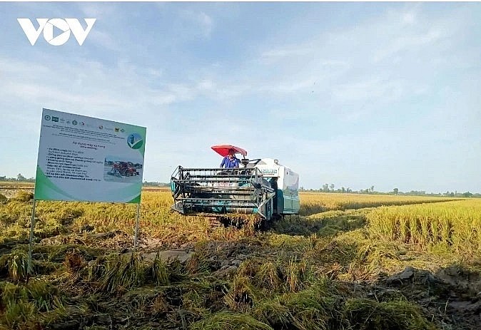 Sustainable and climate-adaptive agricultural development in the Mekong Delta region to improve farmers' income.