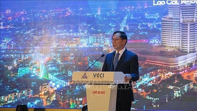 Deputy Prime Minister and Minister of Foreign Affairs Bui Thanh Son speaks at the event (Photo: VNA)