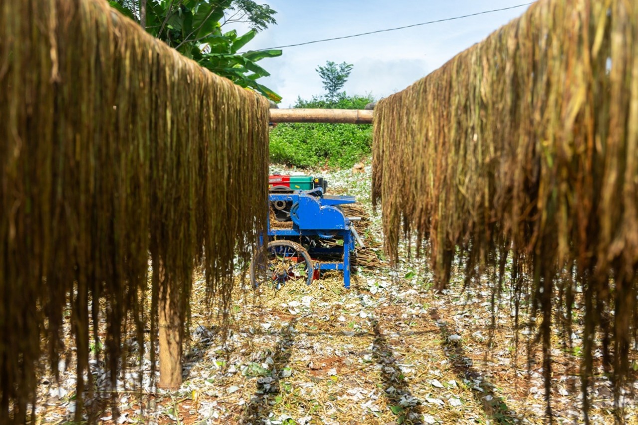 CARE Supports Hoa Binh Residents to Develop Sustainable Hemp Products