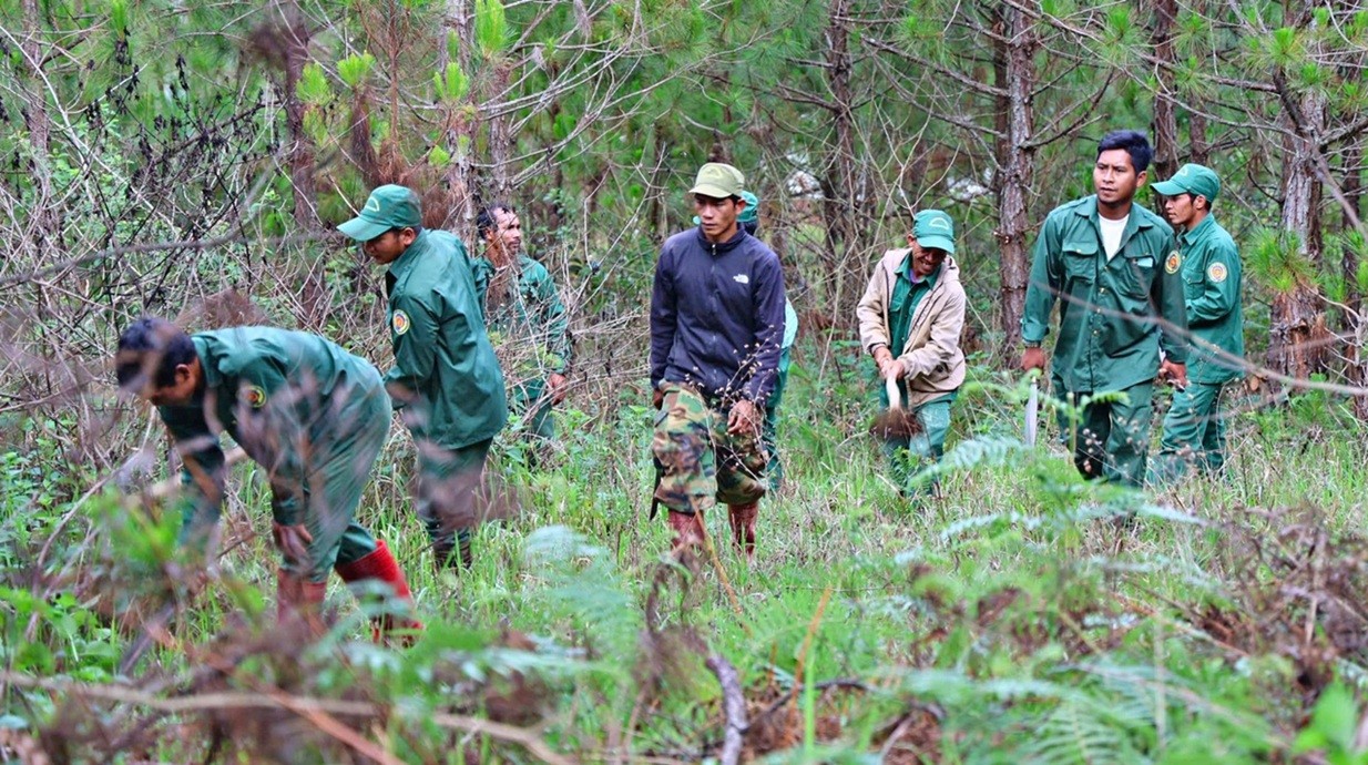 Vietnam Classified as “Low Risk” Under the EU Anti-Deforestation Regulation