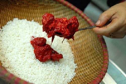xoi gac fortunate red sticky rice of vietnam
