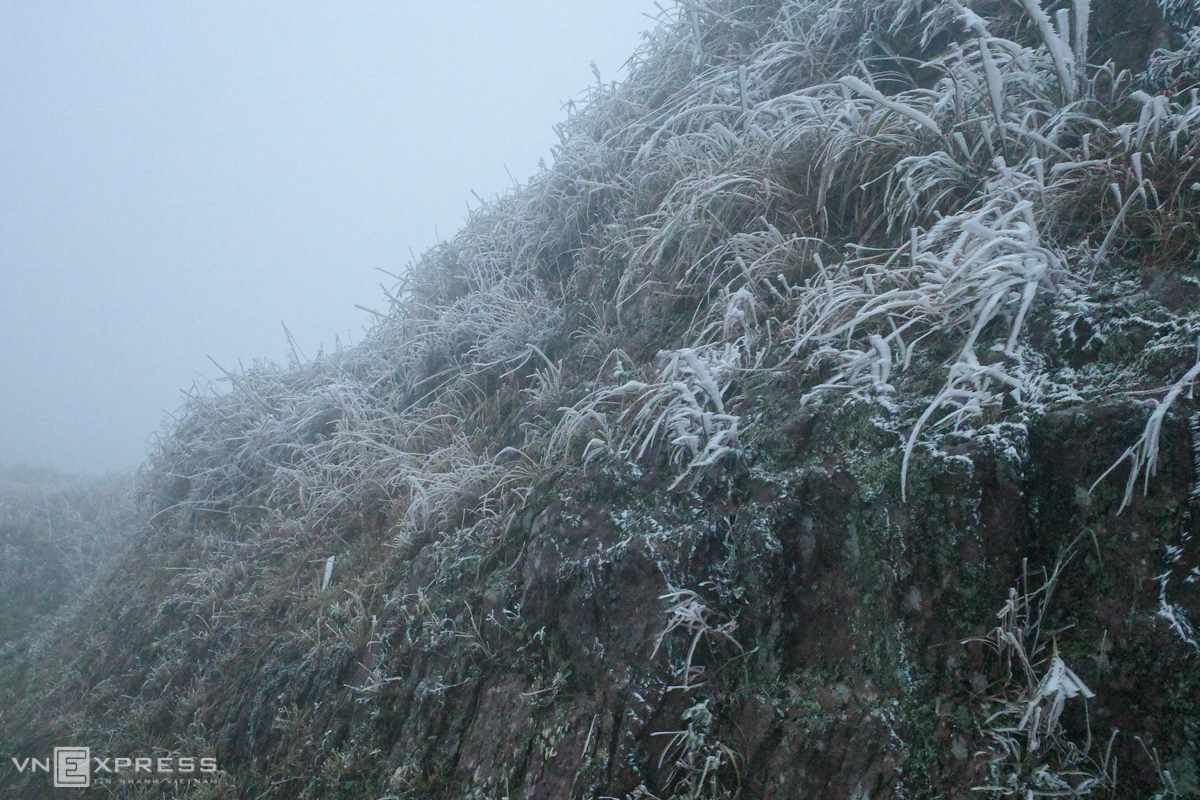 Northern Vietnam’s mountainous provinces blanketed in frost and snow, video