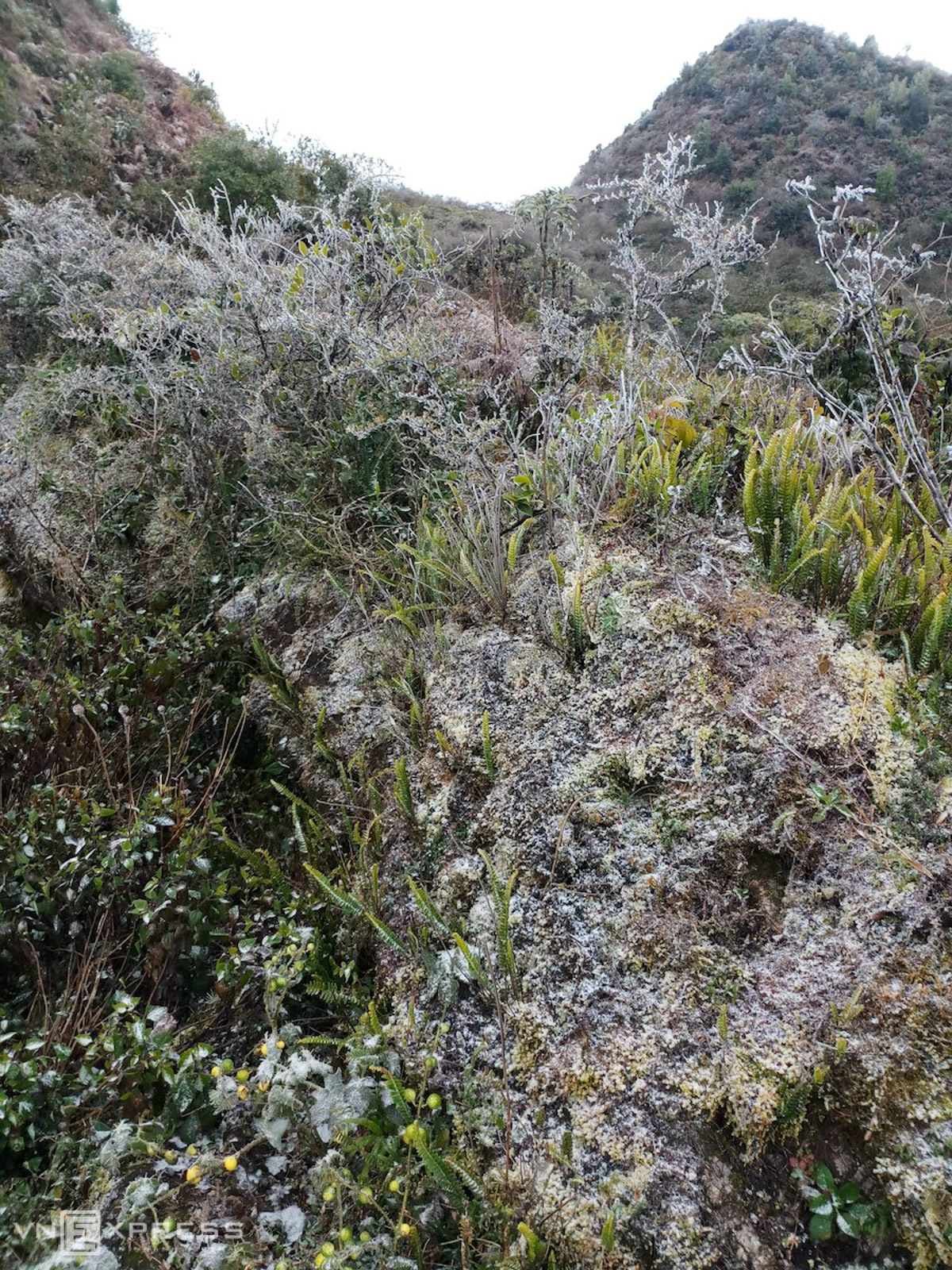 Northern Vietnam’s mountainous provinces blanketed in frost and snow, video