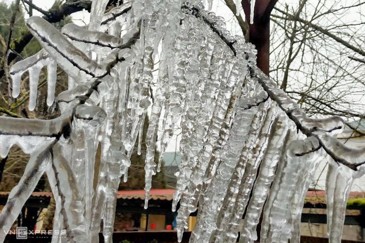 Northern Vietnam’s mountainous provinces blanketed in frost and snow, video