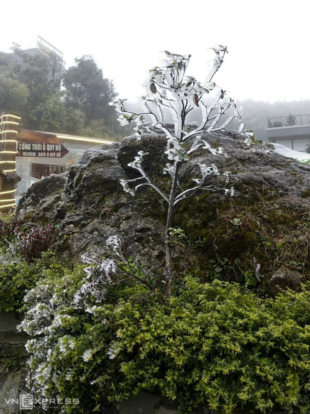 Northern Vietnam’s mountainous provinces blanketed in frost and snow, video