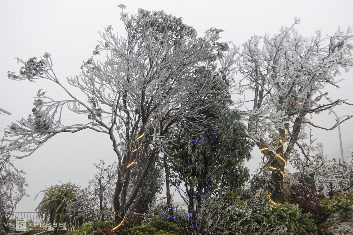 Northern Vietnam’s mountainous provinces blanketed in frost and snow, video