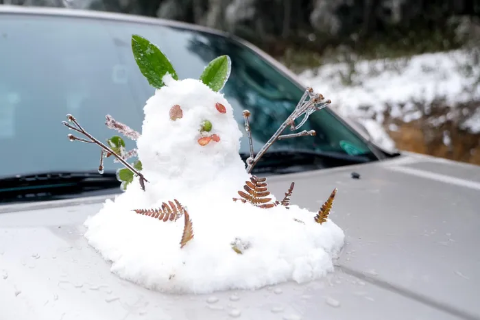 Video: Tourists excited at snowy “Europe-like” scene in Vietnam Northern mountains