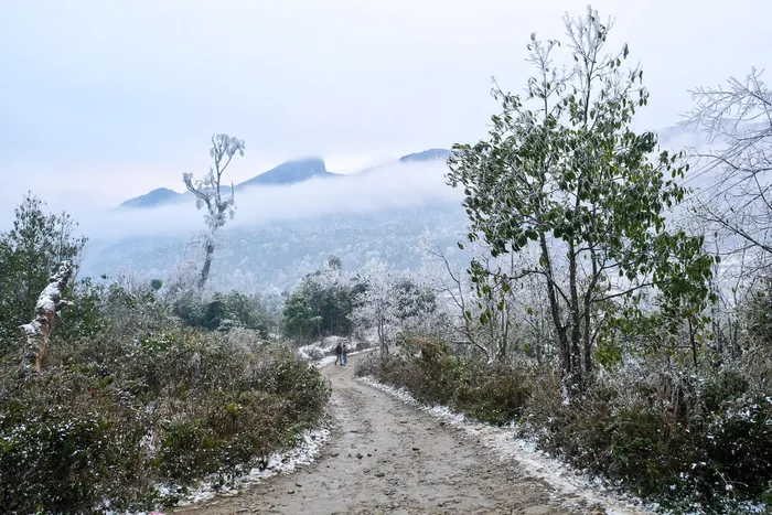 Video: Tourists excited at snowy “Europe-like” scene in Vietnam Northern mountains