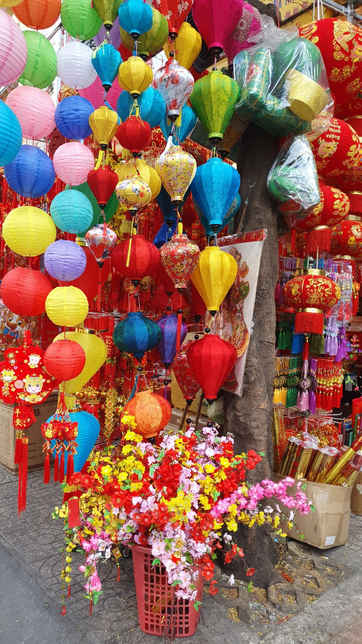 Youngsters flock to check-in on Tet holiday street in HCMC