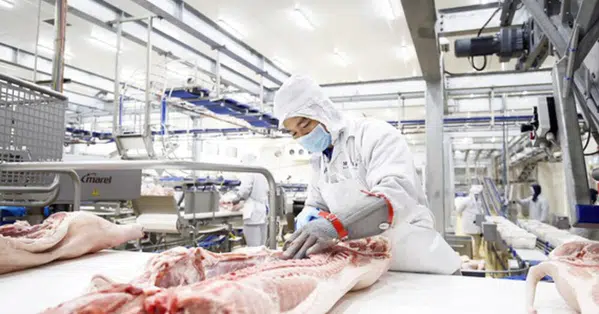 Russian firm plans to build US$1.4 billion pork-processing complex in Vietnam