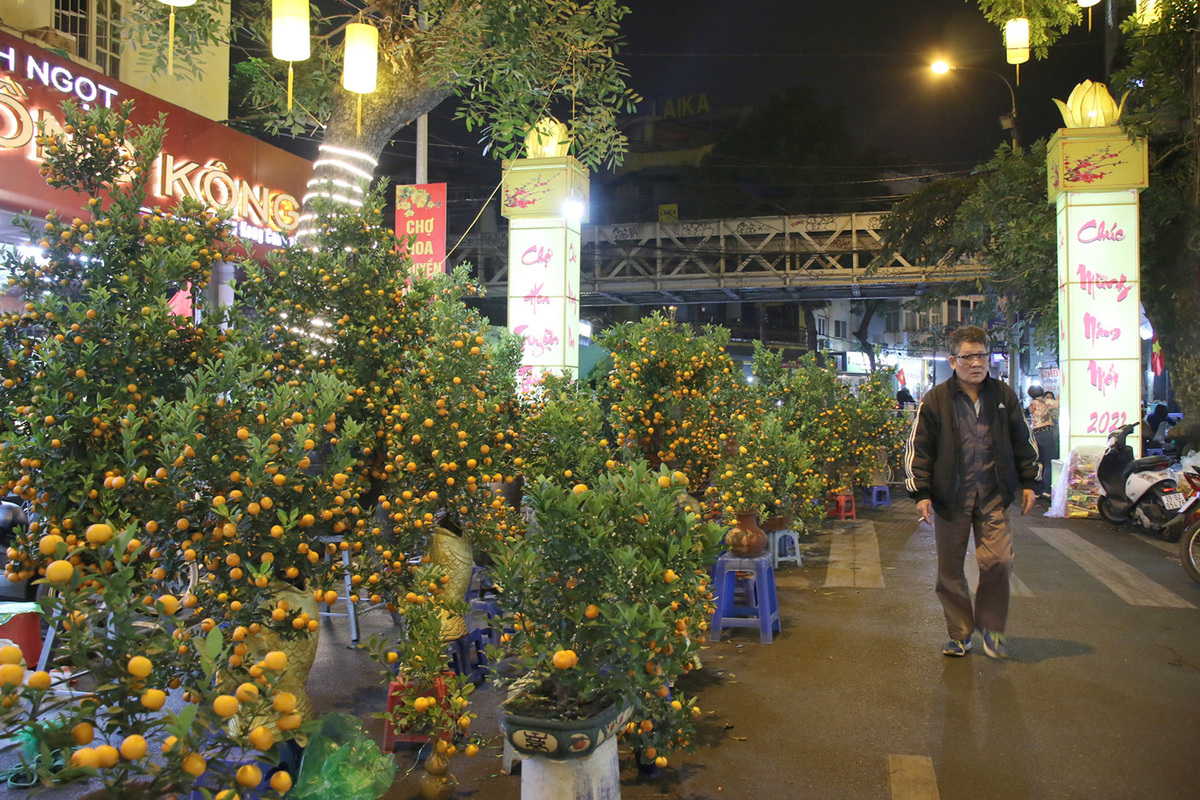 Tet flower markets in Hanoi Old Quarter deserted due to Covid-19, in photos