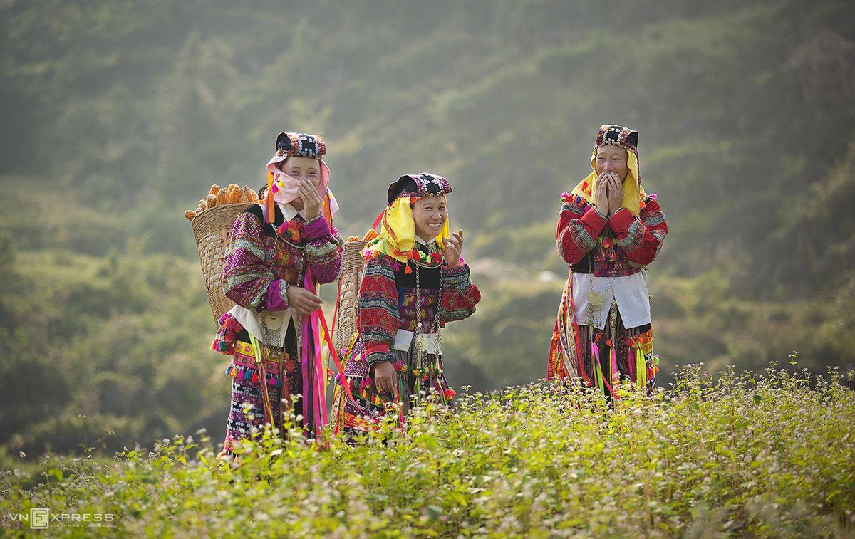 Spring colors in Vietnam’s northern highlands