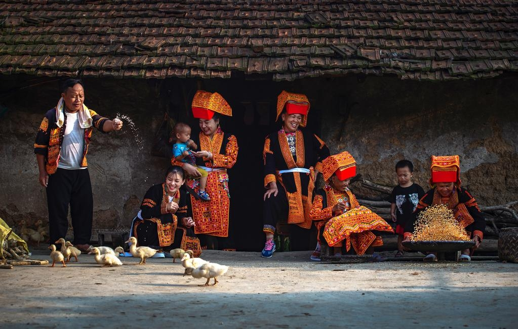 The spring beauty across Vietnam homeland