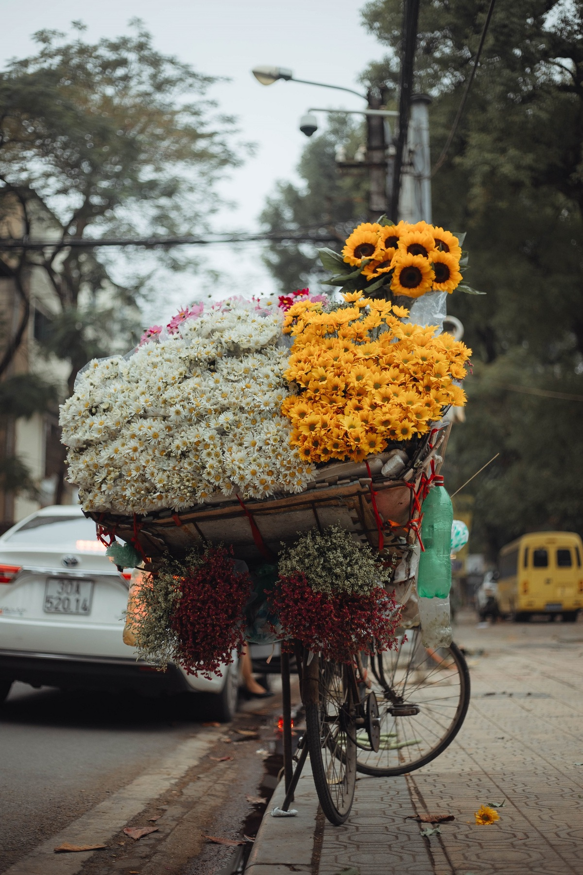 Flower season across Vietnam under the lens of local photographer