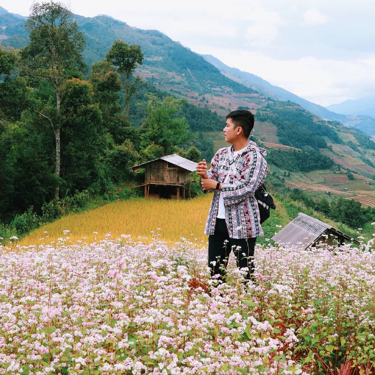 Flower season across Vietnam under the lens of local photographer