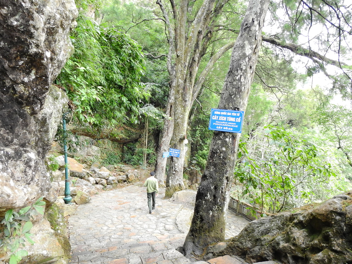 Famously religious scenic and relic complex Yen Tu deserted during epidemic time