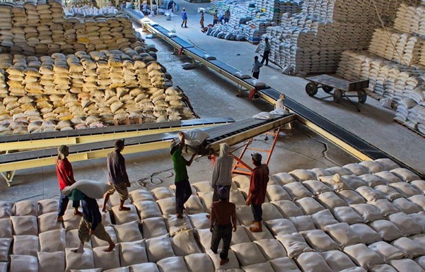 vietnam exports 638000 tonnes of rice in the first two months
