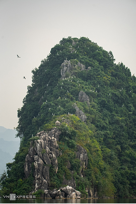The world’s largest pagoda in Vietnam, a sanctuary of birds