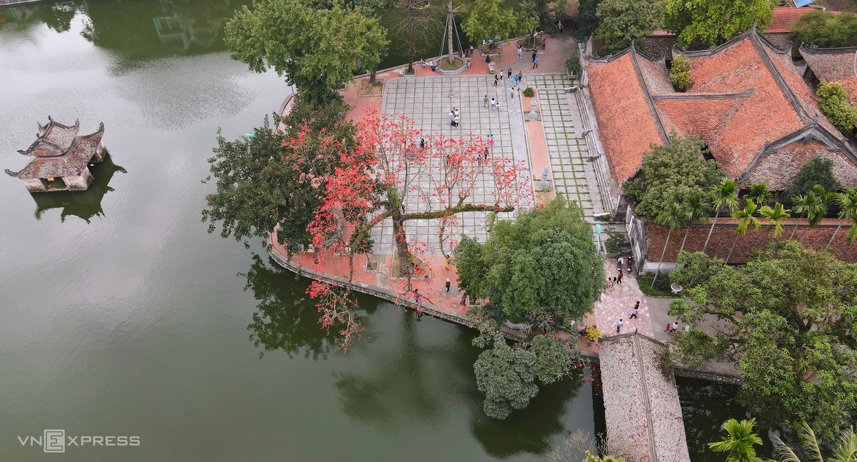 Hanoi dyed in red of silk cotton flowers