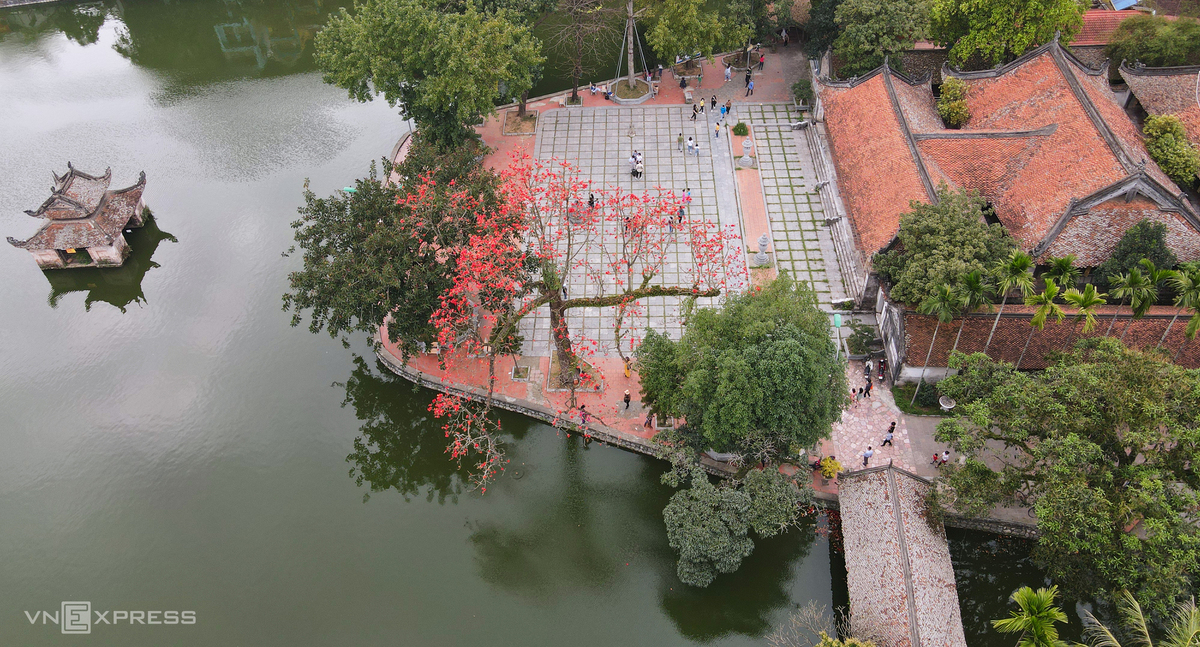 hanoi dyed in red of silk cotton flowers