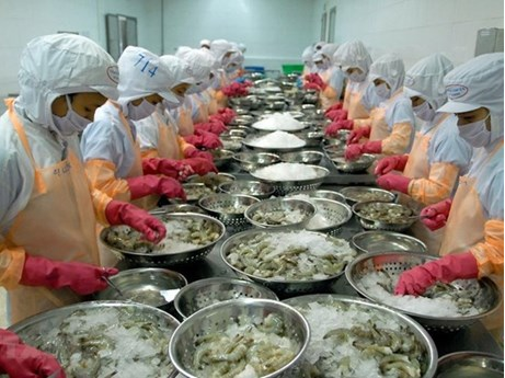 vietnam becomes the fourth largest seafood exporter to japan