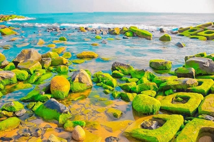 cinematic beauty of green mossy rocky ground in phu yen