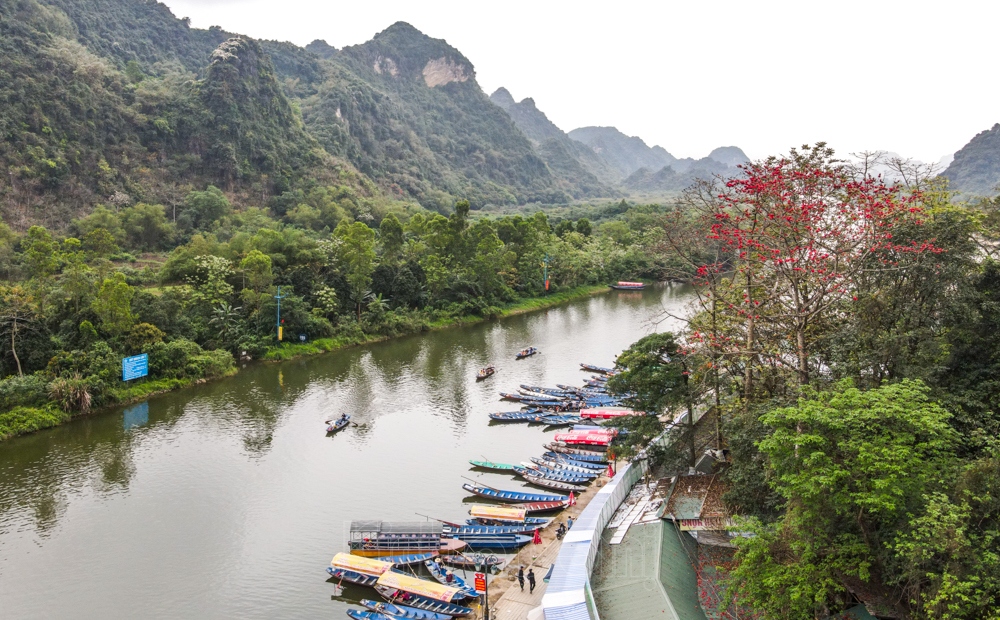 In photos: Red silk cotton flowers adorn beauty of Huong (Perfume) Pagoda