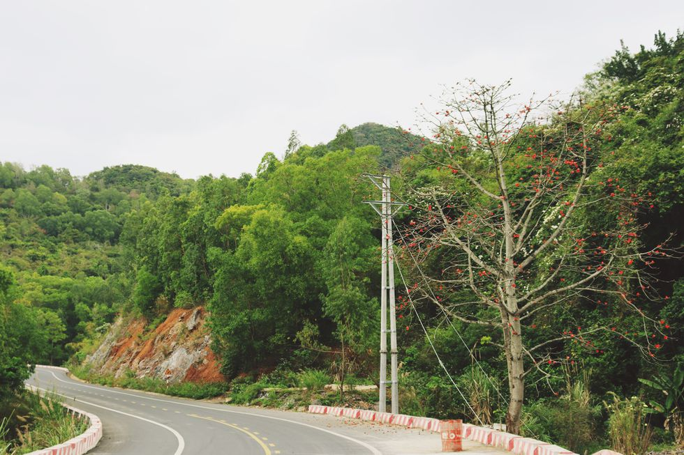 Coastal road in Cat Ba Island, a 'not-to-be-missed' destination for backpackers