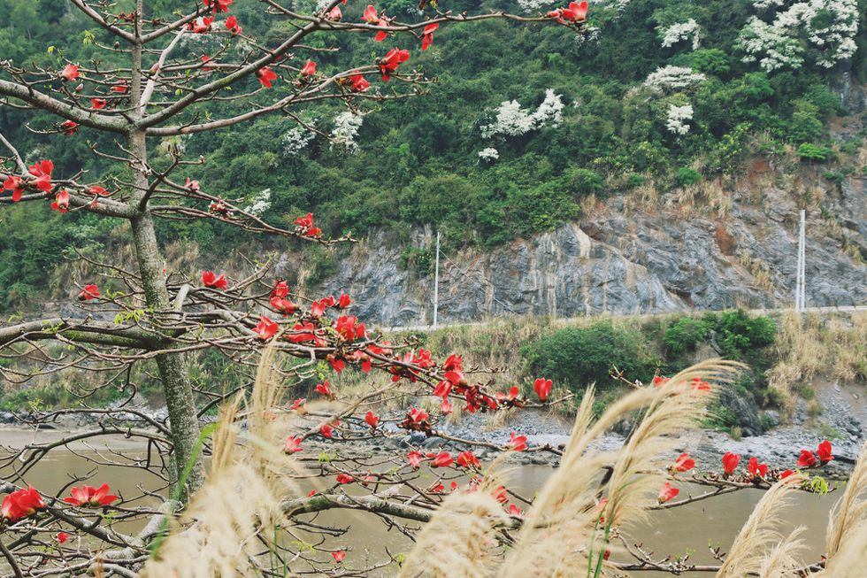 Coastal road in Cat Ba Island, a 'not-to-be-missed' destination for backpackers