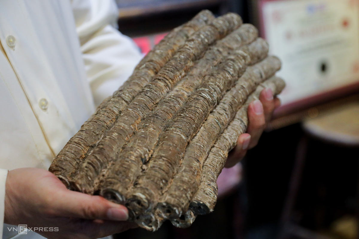 Unique collection of 'fossil' ancient coins of Saigon’s man