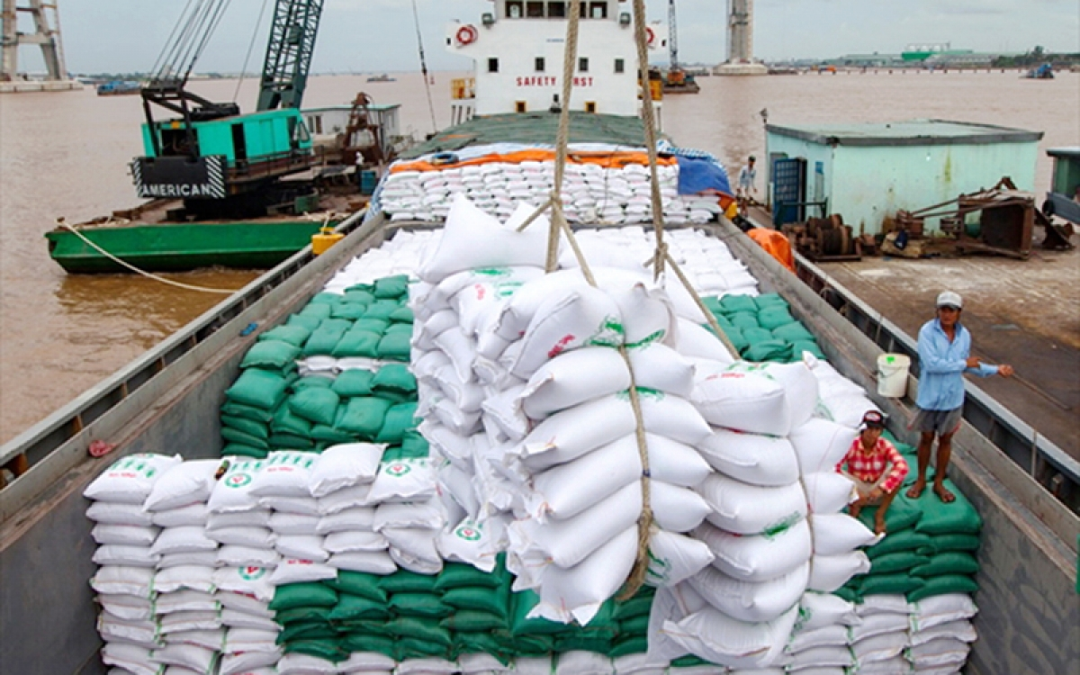 vietnams rice exports to thailand enjoy sharp increase