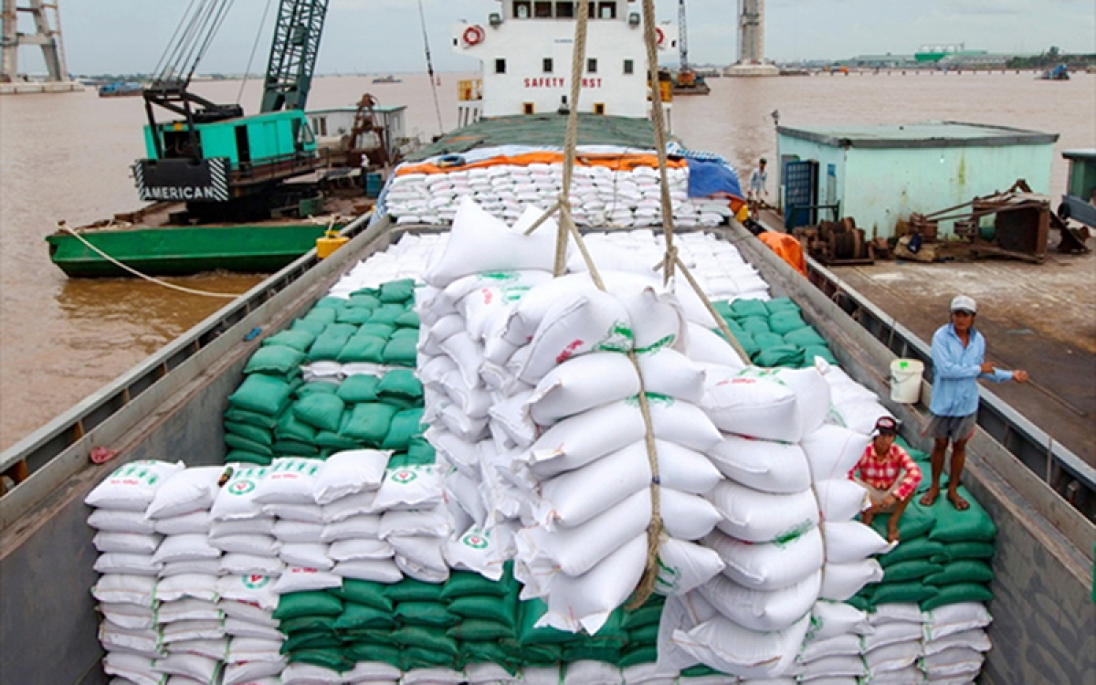 Vietnam’s rice exports to Thailand enjoy sharp increase