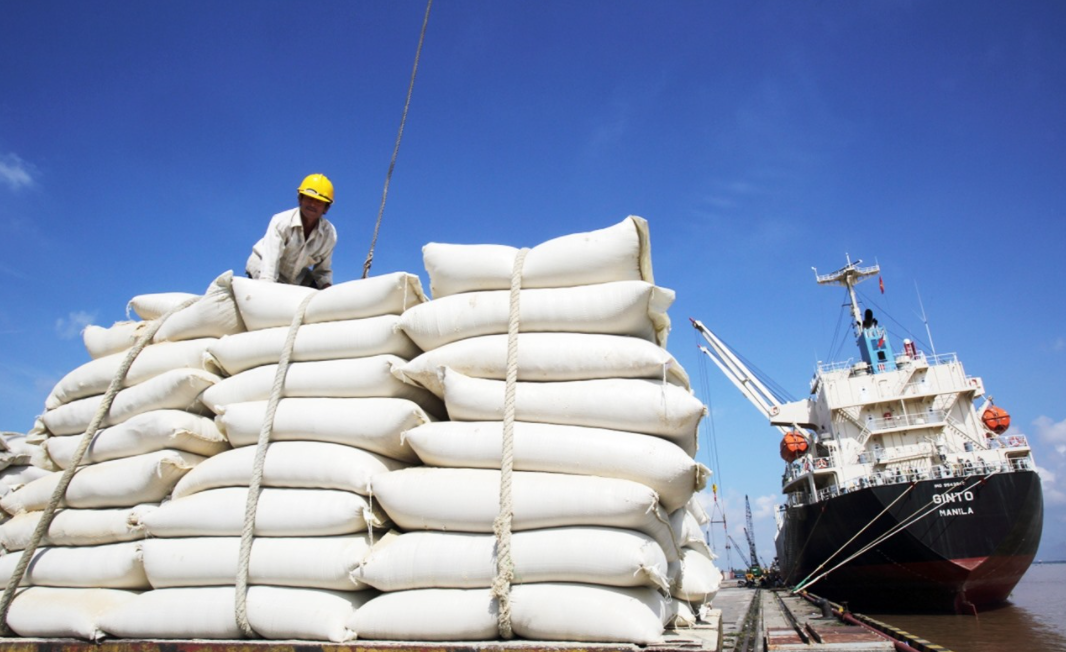 Vietnam’s rice exports to Thailand enjoy sharp increase