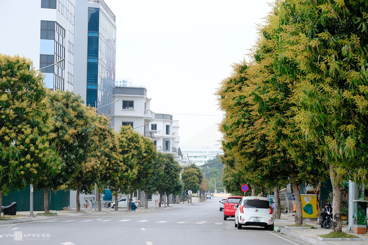 The charming beauty of Ha Long City through lens of photography passion