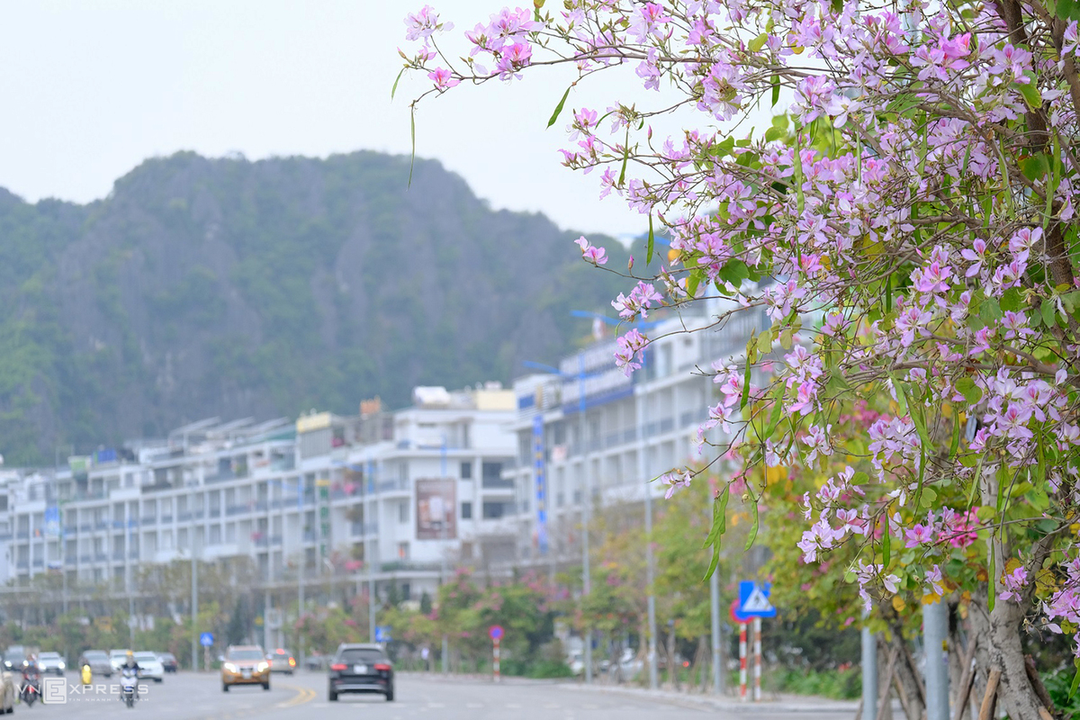 The charming beauty of Ha Long City through lens of photography passion