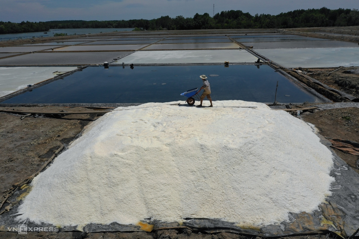 HCMC’s island commune overwhelmed in bustling ambiance in salt-harvesting season