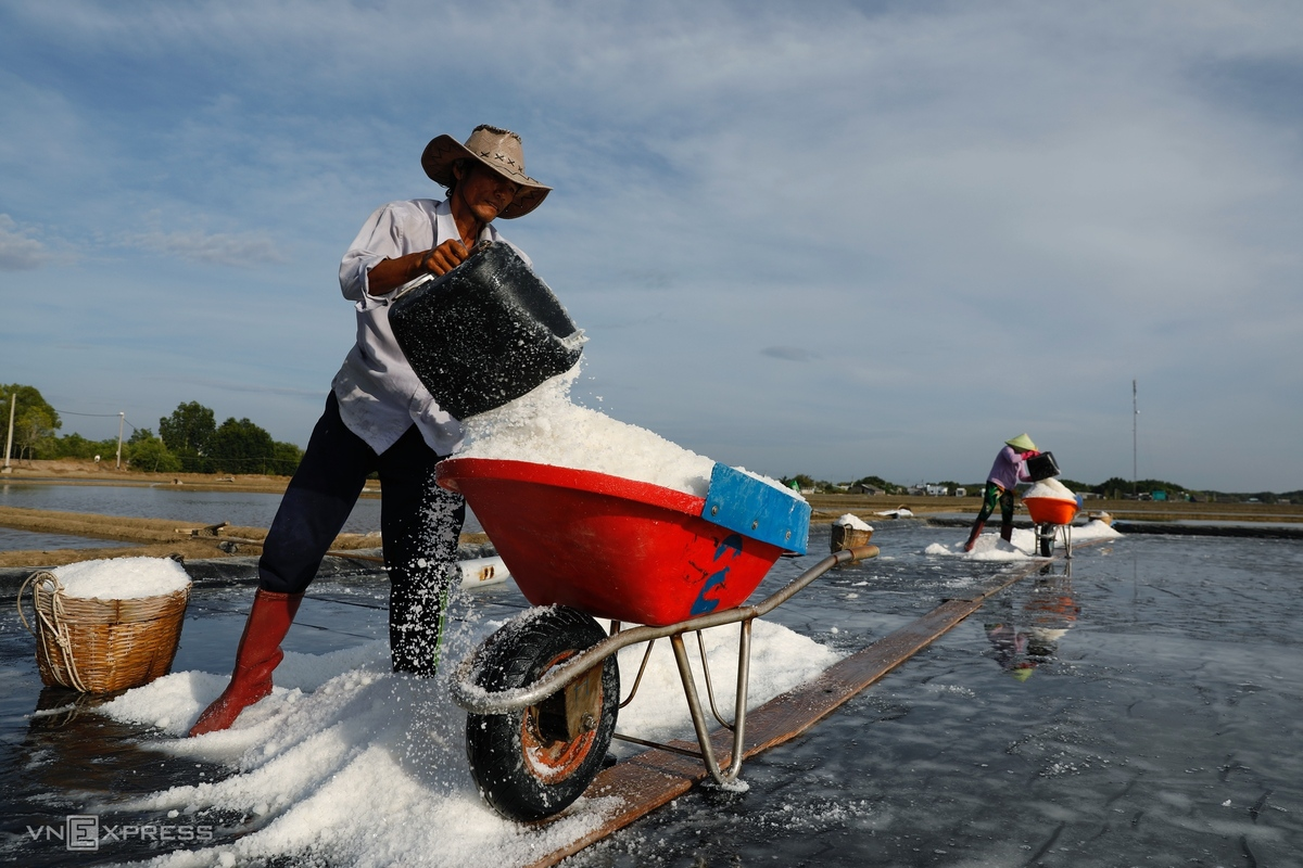 HCMC’s island commune overwhelmed in bustling ambiance in salt-harvesting season