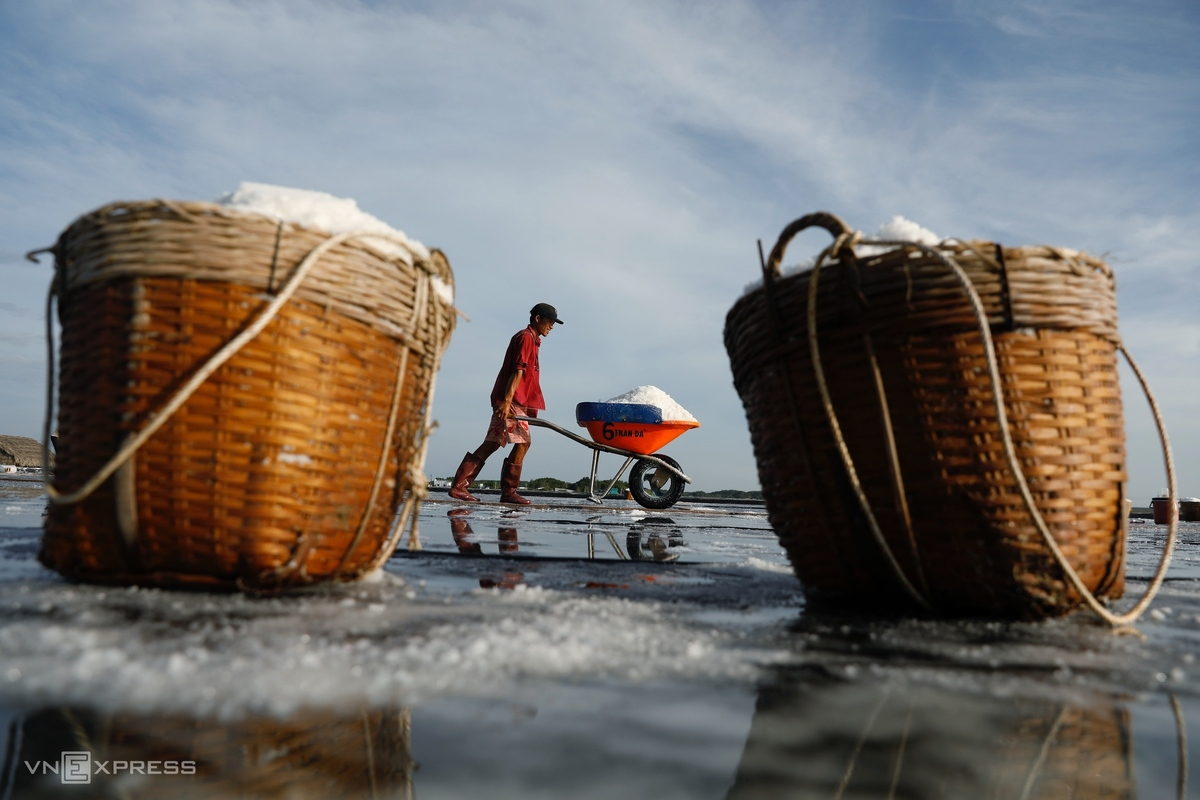 HCMC’s island commune overwhelmed in bustling ambiance in salt-harvesting season