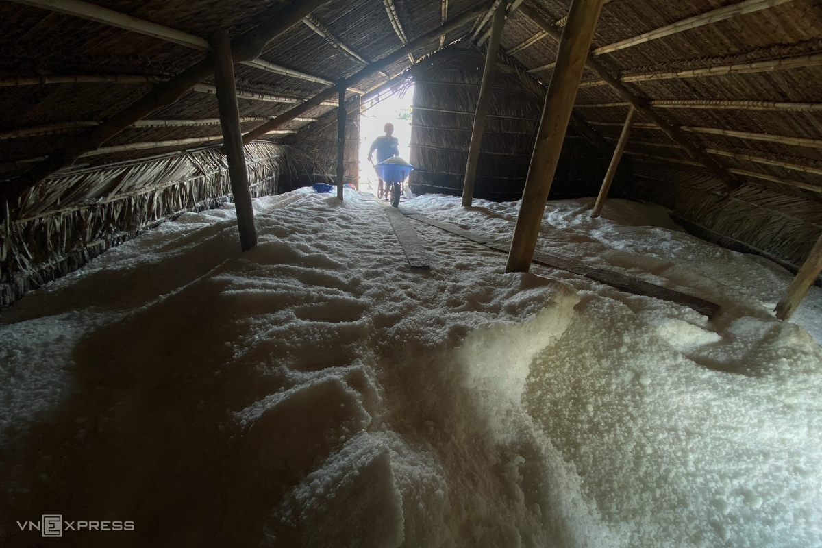 HCMC’s island commune overwhelmed in bustling ambiance in salt-harvesting season